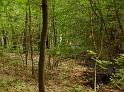 Waldbrand Bergisch Gladbach Bensberg P082